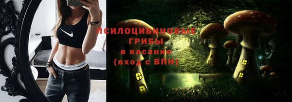СК Пестово