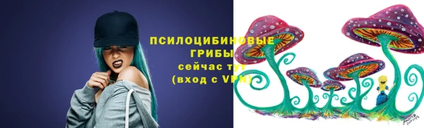 мескалин Переславль-Залесский