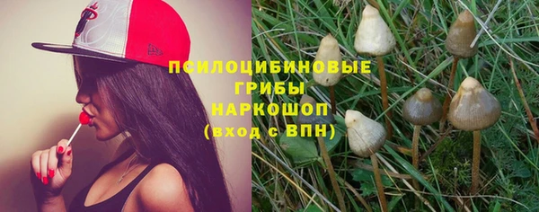 СК Пестово