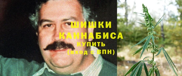 СК Пестово