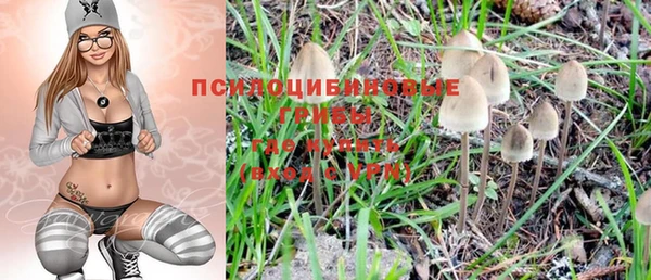 не бодяженный Пересвет
