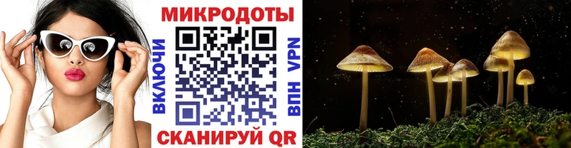 Галлюциногенные грибы прущие грибы наркотики Киренск